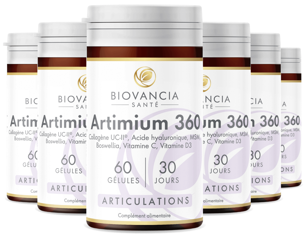 6x Artimium 360, 60 gélules - 30 jours